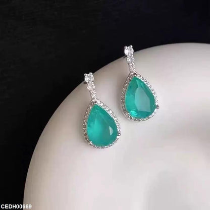 CEDH00669 ZHL Tear Drop Earrings - CEDH