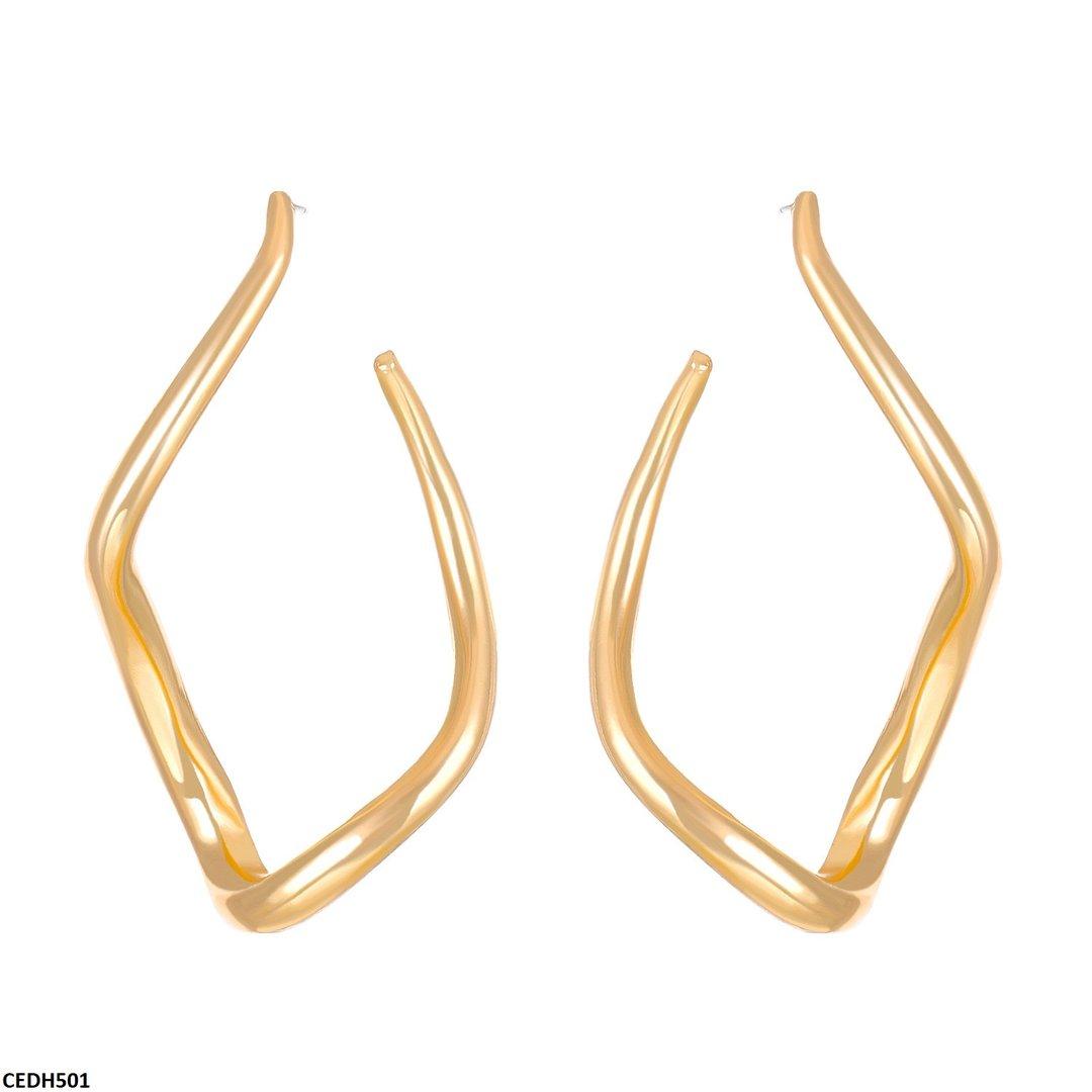 CEDH501 QWN Stainless Steel Earrings