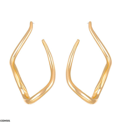 CEDH501 QWN Stainless Steel Earrings