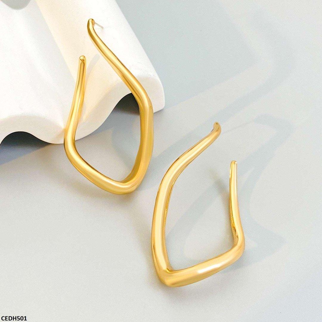 CEDH501 QWN Stainless Steel Earrings