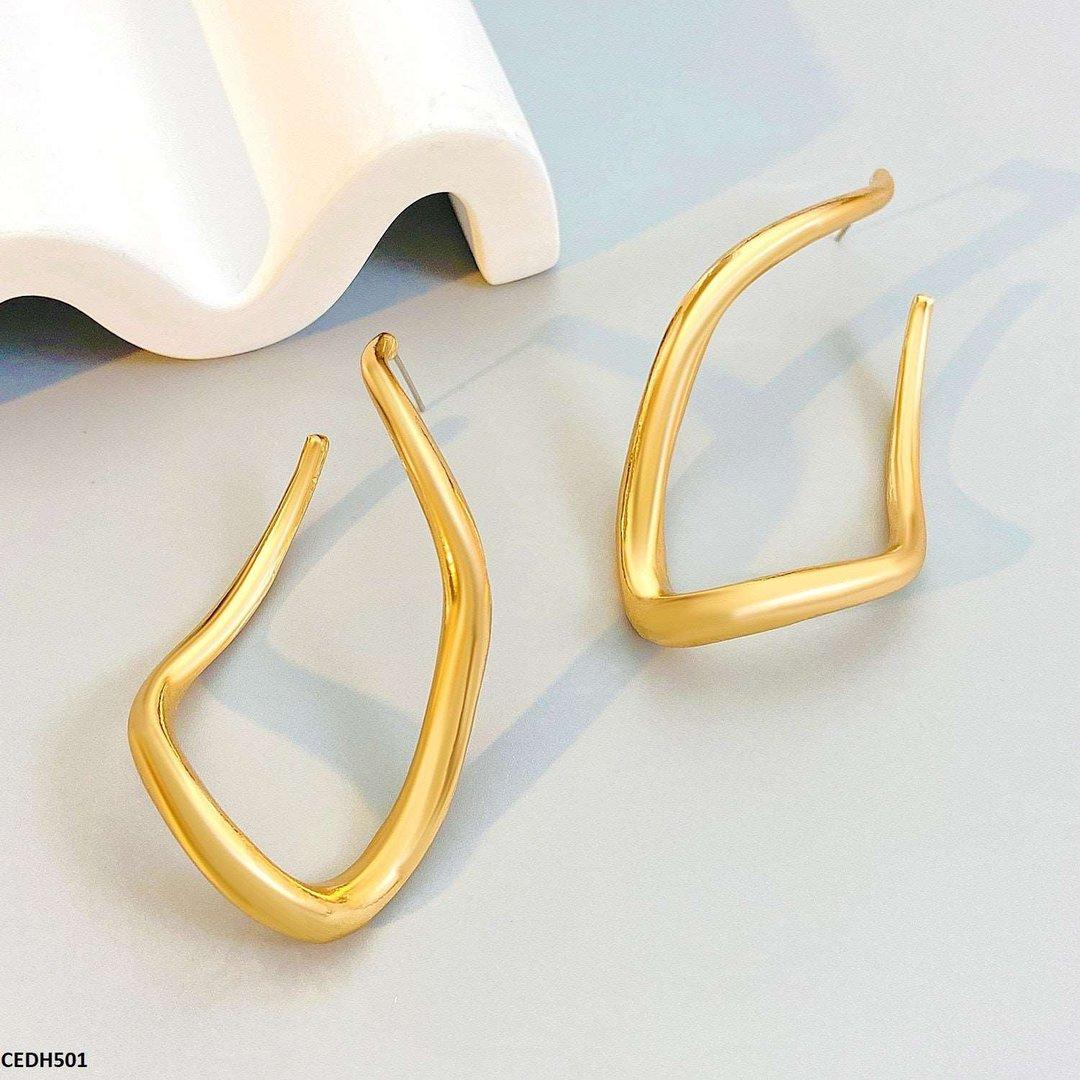 CEDH501 QWN Stainless Steel Earrings