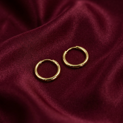 TEHH00480 MMJ  Stainless Steel Round Hoops Pair - TEHH