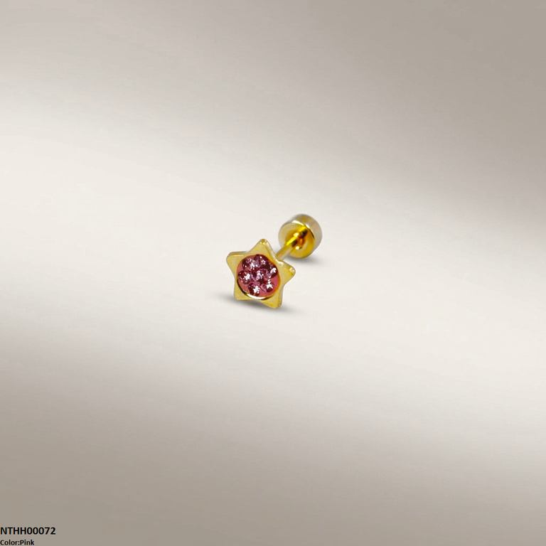 NTHH00072 XAS Star Round Stone Stainless Steel Nose Pin - NTHH