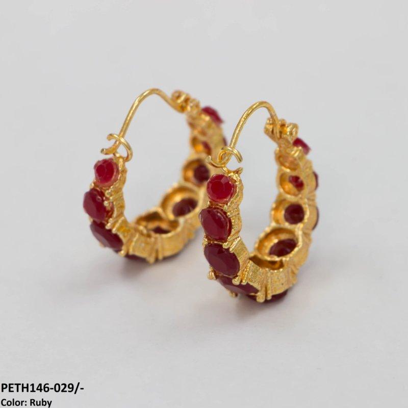 PETH146 SDQ Round Ear Hoops Pair